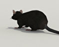 黒いネズミ 3Dモデル