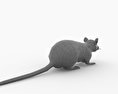 Black Rat Low Poly 3D 모델 