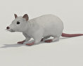 White Rat Low Poly 3d model
