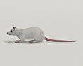 White Rat Low Poly 3d model