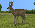 Roe Deer Low Poly 3D模型