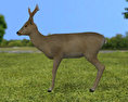 Roe Deer Low Poly Modelo 3D