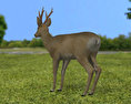 Roe Deer Low Poly 3D-Modell