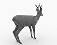 Roe Deer Low Poly 3D-Modell