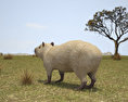 Capybara Low Poly Modèle 3d