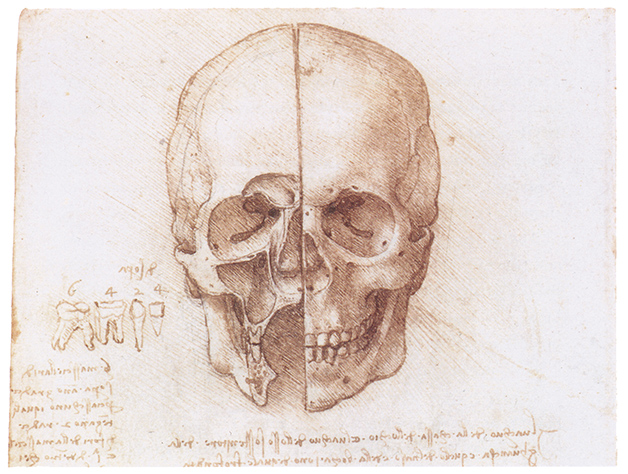 Human skull by Leonardo da Vinci