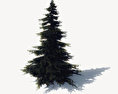 Pine Baum Kostenloses 3D-Modell