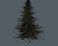 Pine 樹木 無料の3Dモデル