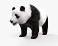 Giant Panda 3d model