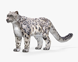 Snow Leopard 3D model