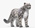 Snow Leopard 3d model