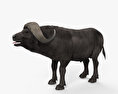 African Buffalo 3d model