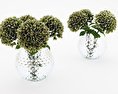 Hydrangea bouquet 免费的3D模型