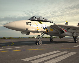 Grumman F-14 Tomcat Modello 3D