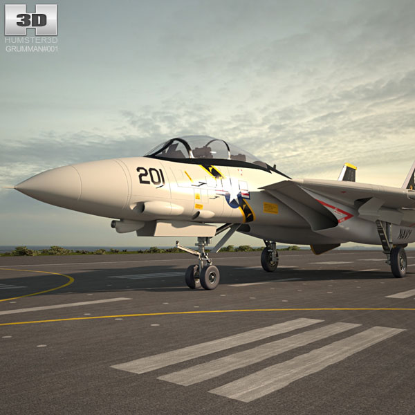 Grumman F-14 Tomcat 3D model