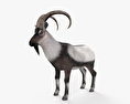 Wild Goat 3d model