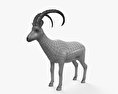 Безоаровый козёл 3D модель