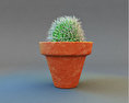 Cactus plant Modello 3D gratuito