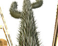 Cactus Modello 3D gratuito