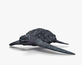 Шкіряста морська черепаха 3D модель