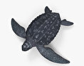 Leatherback Sea Turtle 3d model