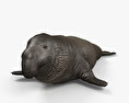 Nördlicher See-Elefant 3D-Modell