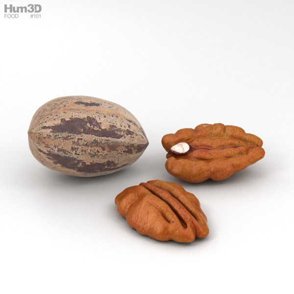 Pecan Nuts 3D model