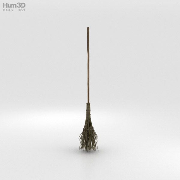 Witch's Broom 3D model