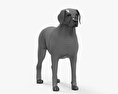 Labrador Retriever Black 3d model