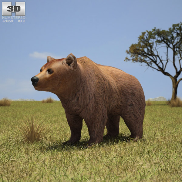 Brown Bear Low Poly 3D模型