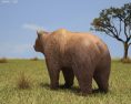 Brown Bear Low Poly 3D-Modell