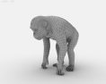 Chimpanzee Low Poly 3D 모델 