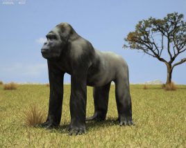Gorilla Low Poly 3D-Modell