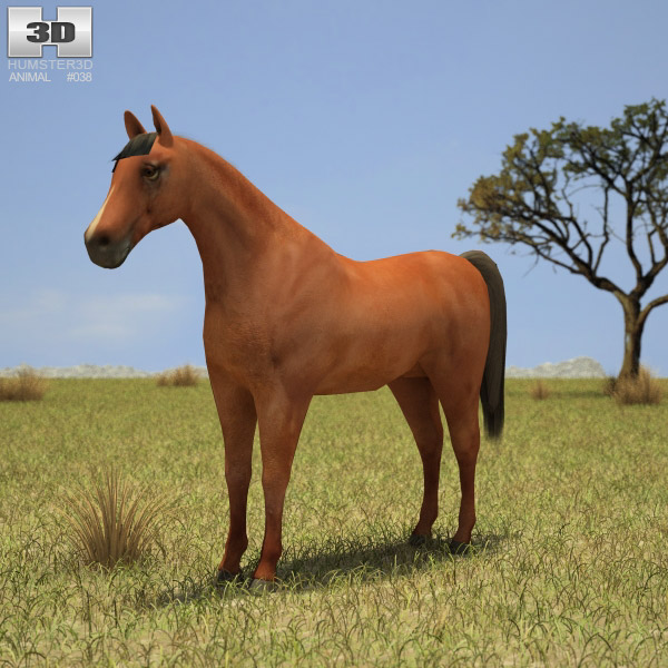 Horse Low Poly 3D 모델 
