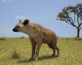 Hyena Low Poly 3D модель
