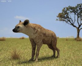 Hyena Low Poly 3D model
