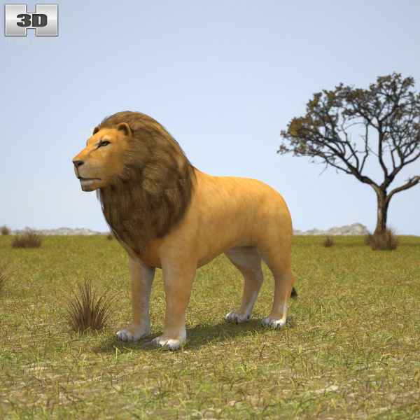 Lion Low Poly Modèle 3D