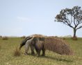 Anteater Low Poly 3D 모델 