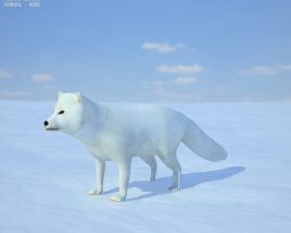 Arctic fox Low Poly 3D model