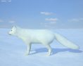 Arctic fox Low Poly Modelo 3d