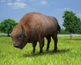 European Bison Low Poly 3D-Modell