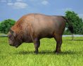 European Bison Low Poly 3D-Modell