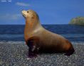 Australian Fur Seal Low Poly Modèle 3d