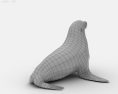 Australian Fur Seal Low Poly 3D модель