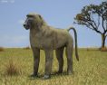 Baboon Low Poly 3D-Modell