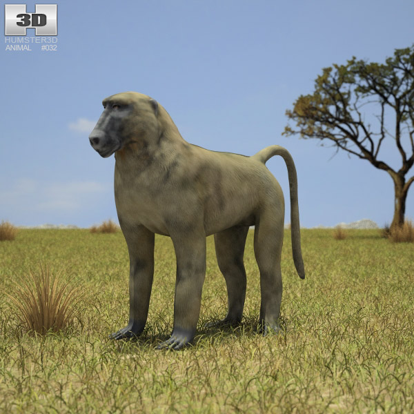Baboon Low Poly Modèle 3D