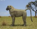 Baboon Low Poly Modelo 3d