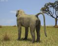 Baboon Low Poly 3D 모델 
