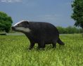 Badger Low Poly 3Dモデル