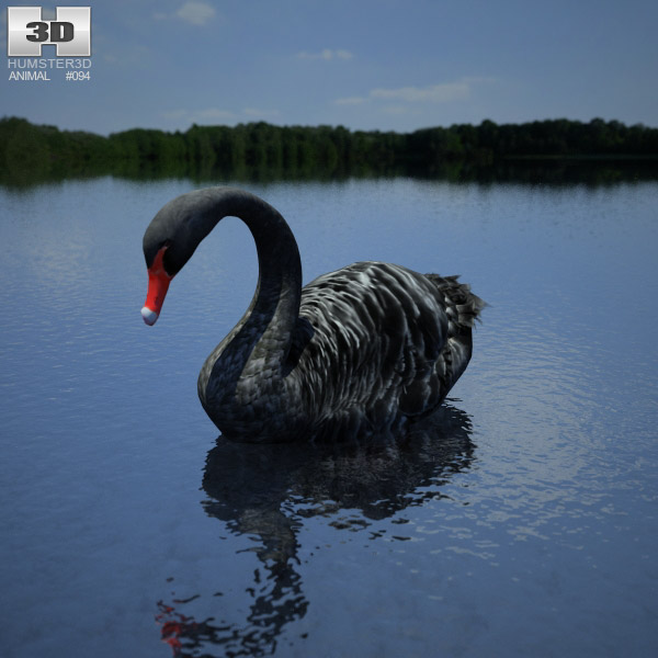 Black Swan Low Poly 3D model